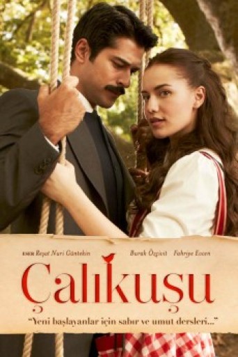 Grmusa | Calikusu